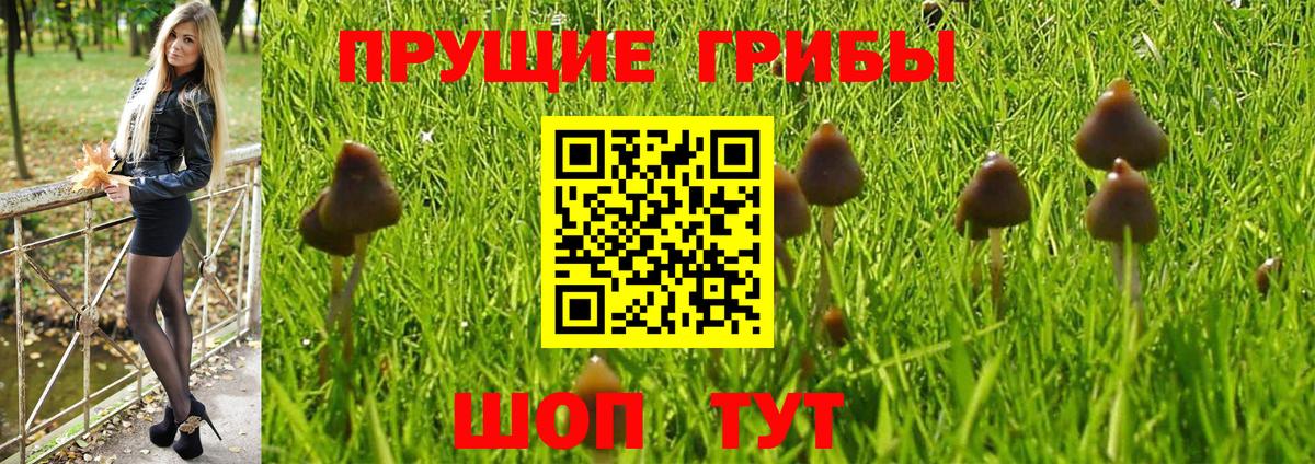 Псилоцибиновые грибы MAGIC MUSHROOMS Новороссийск