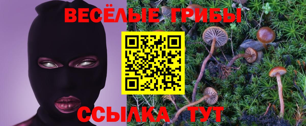 Новороссийск  Псилоцибиновые грибы Cubensis  Вход с VPN 