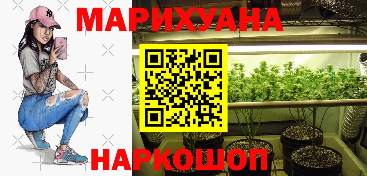 Бошки Шишки план Новороссийск